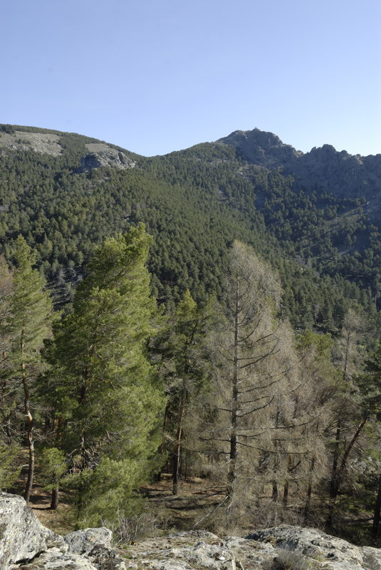 La caseta del Telgrafo