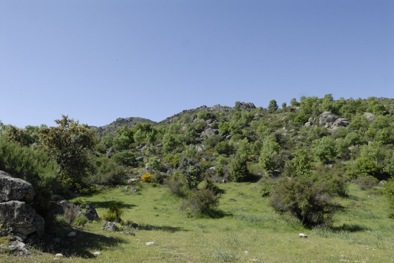 Paisaje en el ascenso