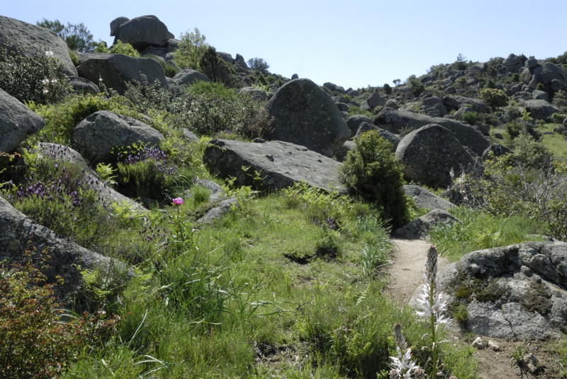 Sendero a la Machota Baja