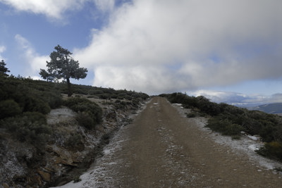 La pista de donde venimos