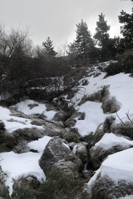 Arroyo de la Pedriza