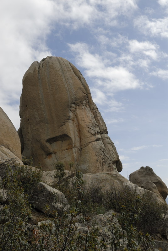 La torre menos inclinada