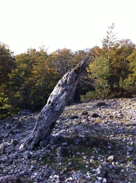 Menhir de Bretxaga