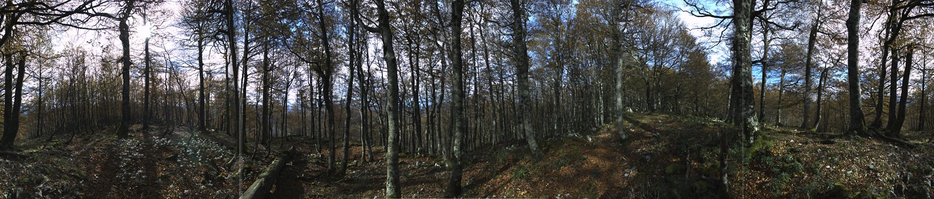 Panorámica en la primera cima