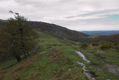 El descenso