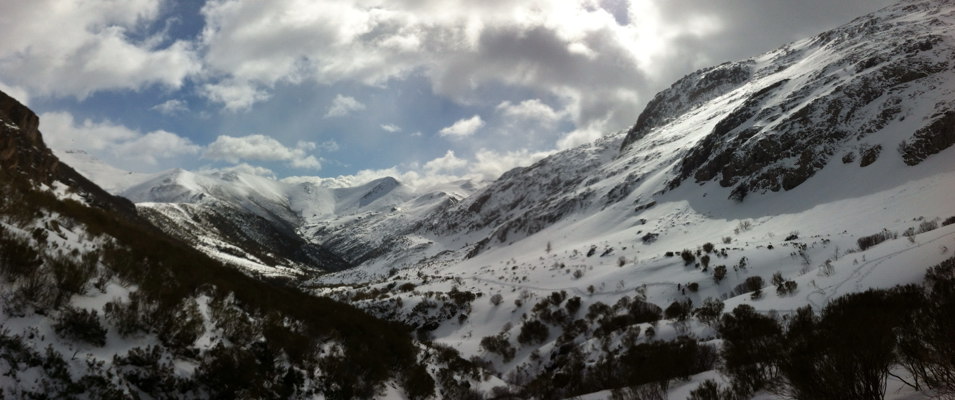 Panormica