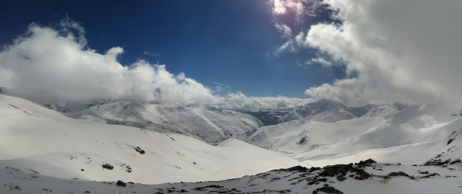 Panormica