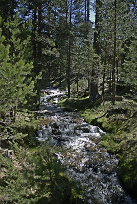 Arroyo de la Chorranca