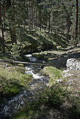 Arroyo de la Chorranca