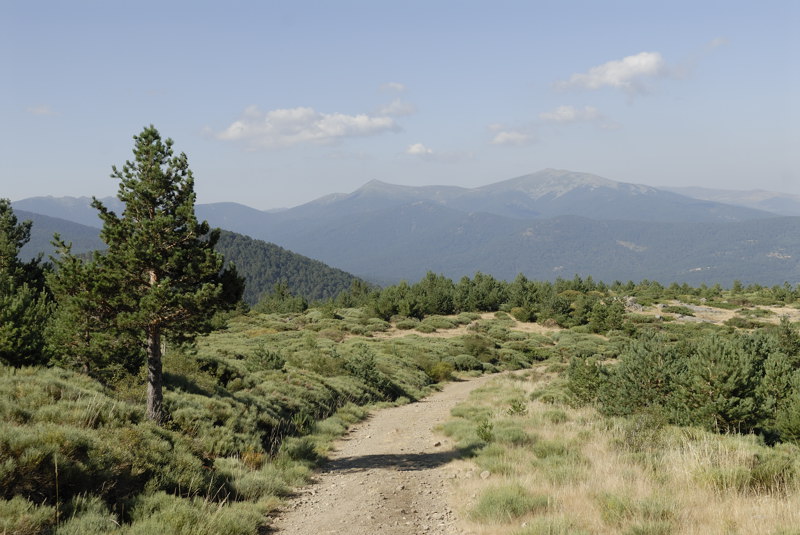 Paisaje durante el ascenso