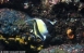Galpagos 28/9/2002