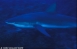 Galpagos 28/9/2002