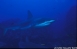 Galpagos 28/9/2002