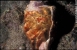 Galpagos 1/10/2002