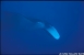Galpagos 2/10/2002