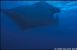 Galpagos 2/10/2002