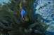 33,7 Kb