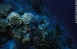 43,5 Kb