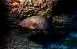 El Hierro 11/12/2003