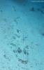 Hurghada 29/7/2004