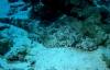 Hurghada 29/7/2004