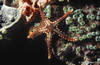 Bunaken 11/10/2004