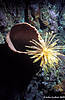Bunaken 12/10/2004