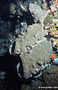 Bunaken 12/10/2004
