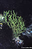 Bunaken 12/10/2004