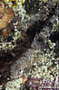 Bunaken 12/10/2004