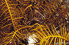 Bunaken 12/10/2004