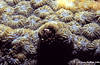 Bunaken 12/10/2004