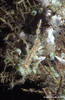 Bunaken 13/10/2004