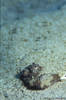 Bunaken 14/10/2004