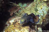 Bunaken 14/10/2004