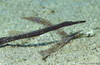 Bunaken 14/10/2004