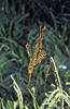 Bunaken 15/10/2004