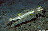 Bunaken 15/10/2004