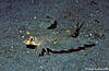 Bunaken 15/10/2004