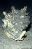 Bunaken 15/10/2004