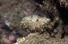 Bunaken 16/10/2004