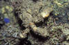Bunaken 16/10/2004