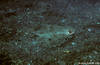Lembeh 18/10/2004